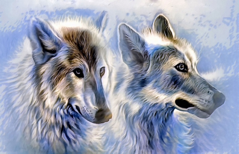 icewolf-as-canvas-1716638_960_720.jpg